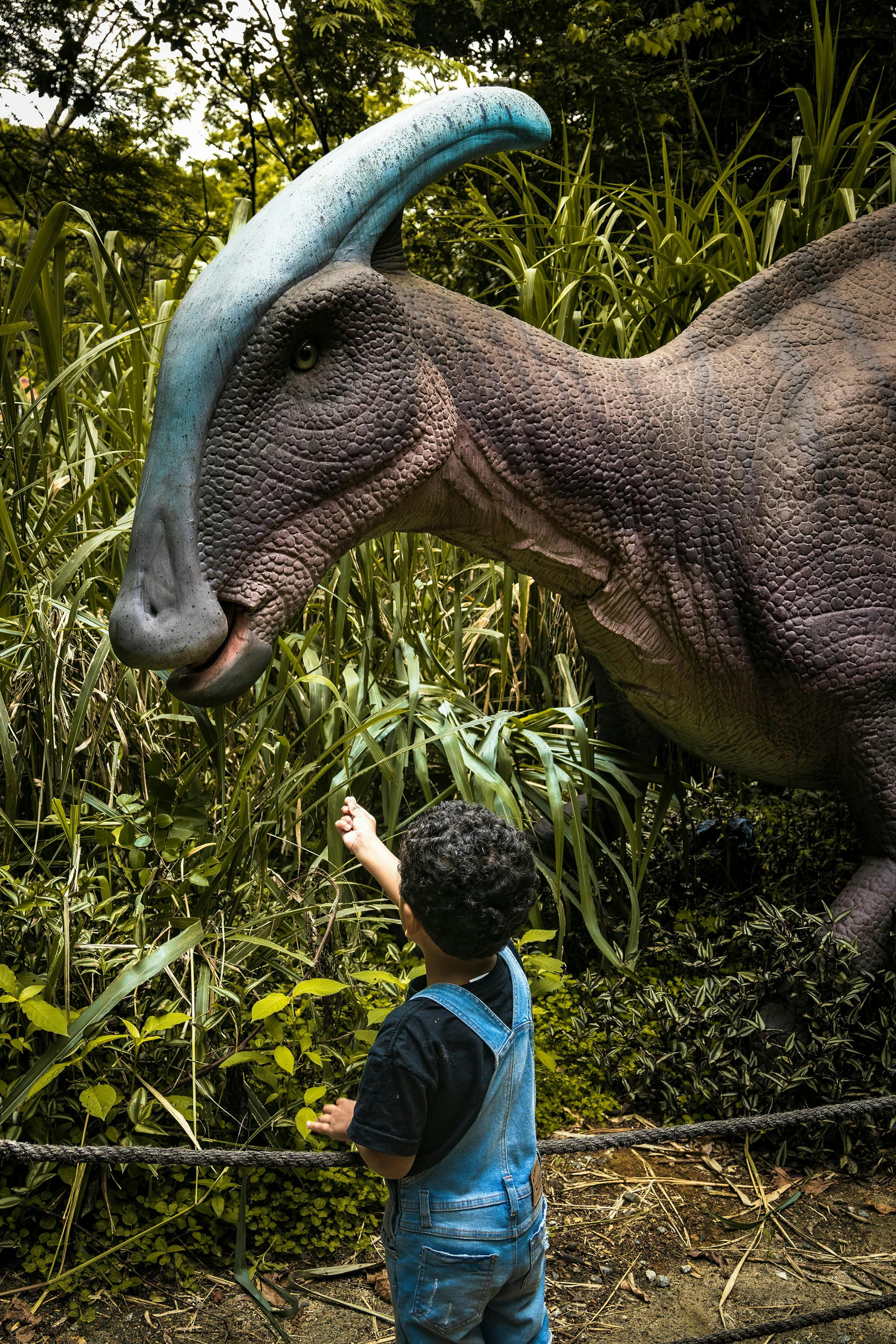 Jurassic Bib – Dino Expositie
