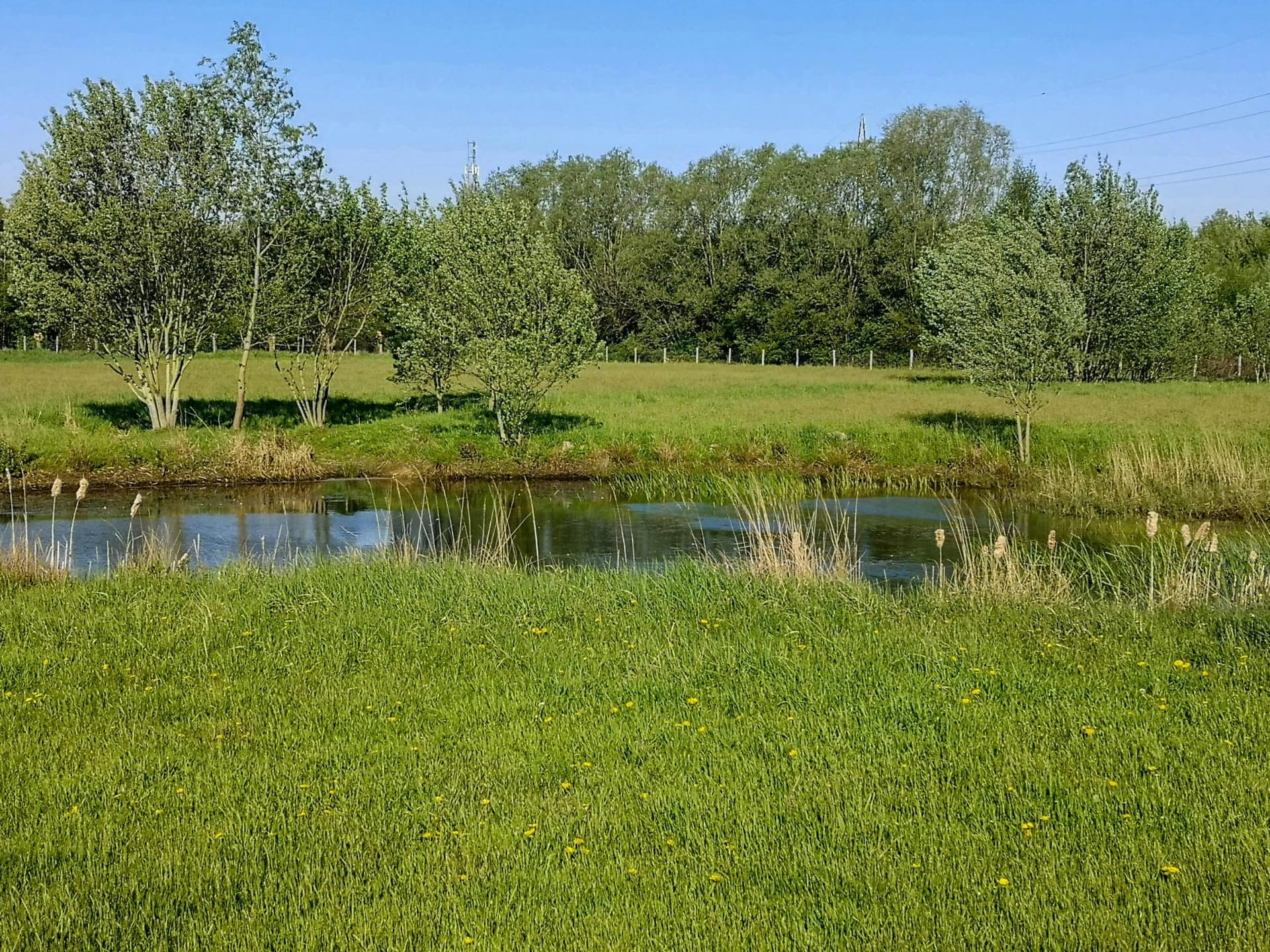 Planteninventarisatie Reukens