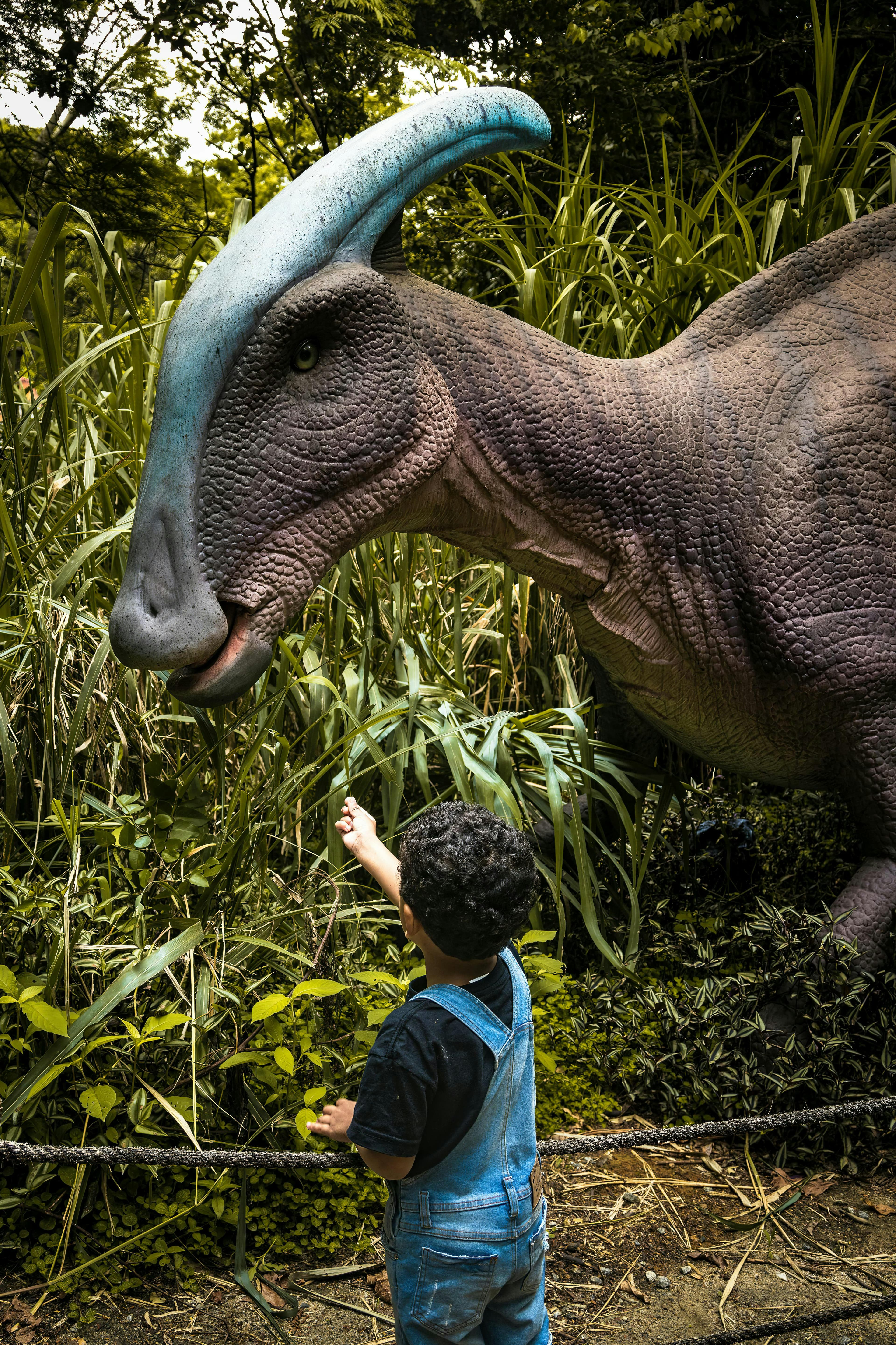 Jurassic Bib – Dino Expositie