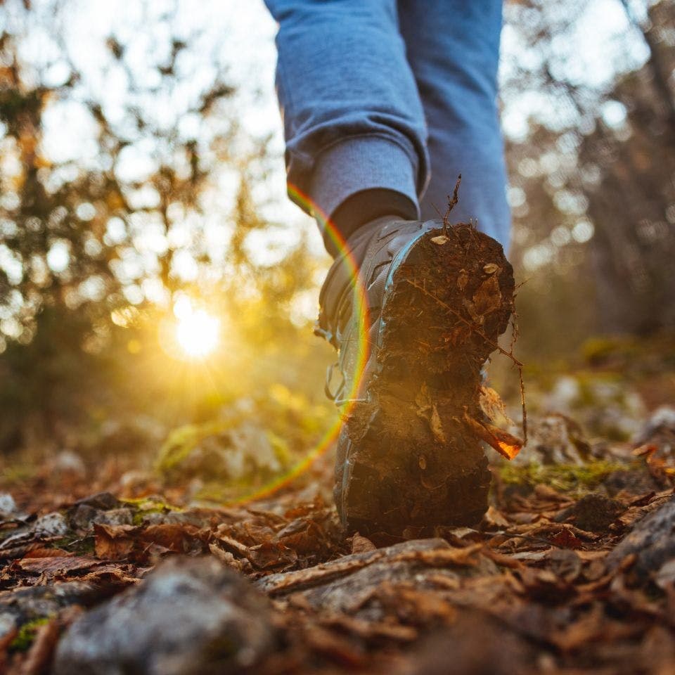 Elke tweede woensdag & vierde dinsdag in Aartselaar: Wandelen