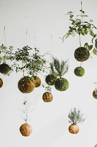 Kokedama: Japanse plantenkunst